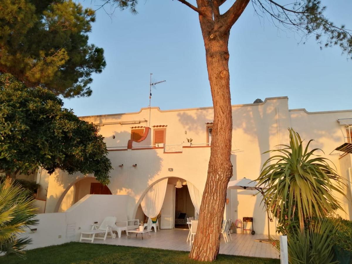 Villa A Diamante Sulla Spiaggia Belvedere Marittimo Εξωτερικό φωτογραφία