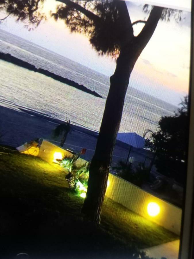 Villa A Diamante Sulla Spiaggia Belvedere Marittimo Εξωτερικό φωτογραφία